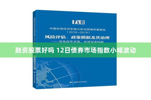   融资股票好吗 12日债券市场指数小幅波动