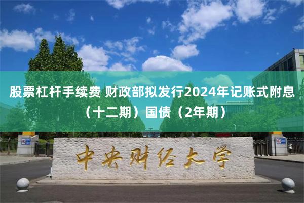   股票杠杆手续费 财政部拟发行2024年记账式附息（十二期）国债（2年期）