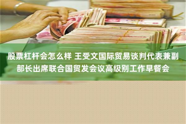   股票杠杆会怎么样 王受文国际贸易谈判代表兼副部长出席联合国贸发会议高级别工作早餐会