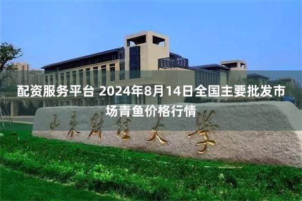   配资服务平台 2024年8月14日全国主要批发市场青鱼价格行情