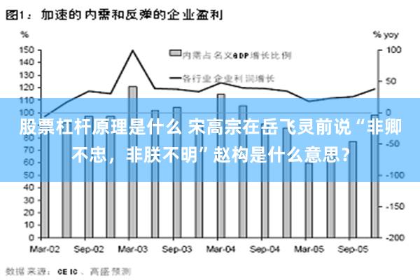 股票杠杆原理是什么 宋高宗在岳飞灵前说“非卿不忠，非朕不明”赵构是什么意思？