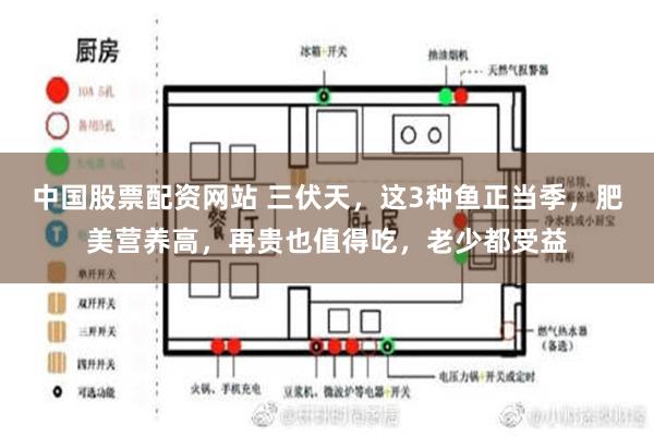   中国股票配资网站 三伏天，这3种鱼正当季，肥美营养高，再贵也值得吃，老少都受益