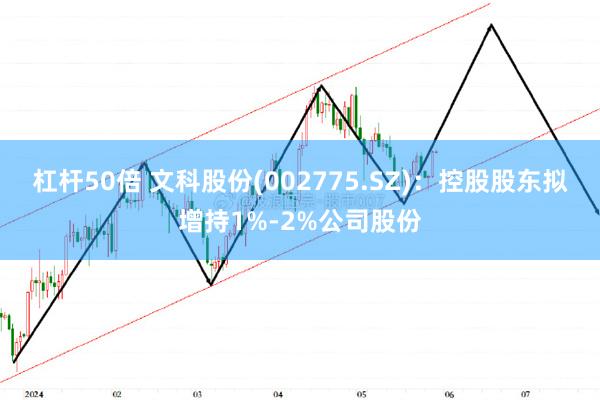   杠杆50倍 文科股份(002775.SZ)：控股股东拟增持1%-2%公司股份