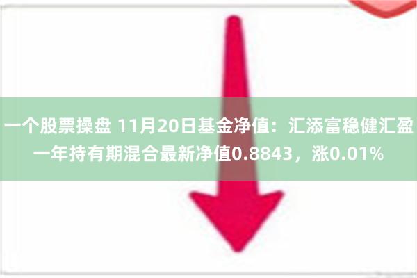 一个股票操盘 11月20日基金净值：汇添富稳健汇盈一年持有期