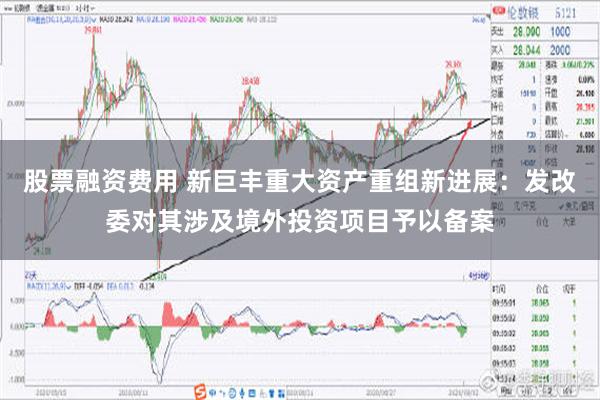 股票融资费用 新巨丰重大资产重组新进展：发改委对其涉及境外投