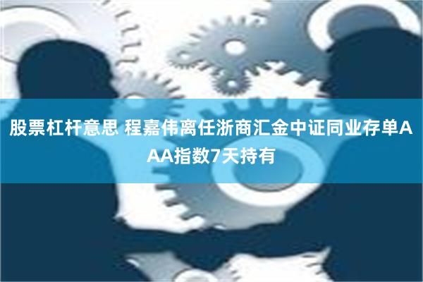 股票杠杆意思 程嘉伟离任浙商汇金中证同业存单AAA指数7天持